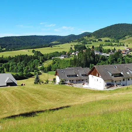 Daire Schwarzwaldblick Vi By Interhome