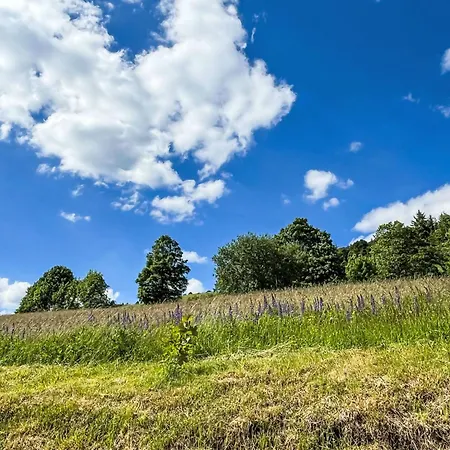 Schwarzwaldblick Vi By Interhome *