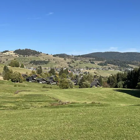 Schwarzwaldblick Vi By Interhome Lejlighed Bernau im Schwarzwald