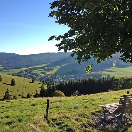 Schwarzwaldblick Vi By Interhome Appartement