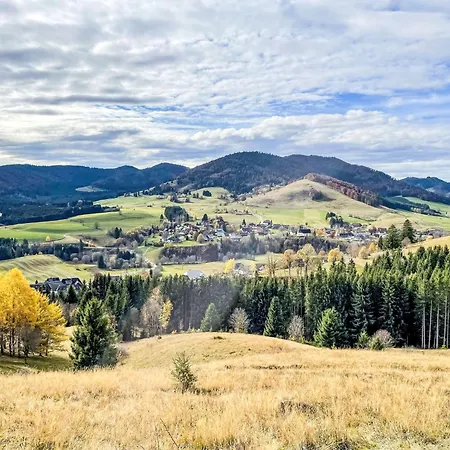 Schwarzwaldblick Vi By Interhome Daire Bernau im Schwarzwald